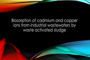 Biosorption of cadmium and copper ions from industrial wastewaters by waste activated sludge