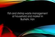 Fish and shrimp waste management at household and market in Bushehr, Iran