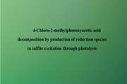 	4-Chloro-2-methylphenoxyacetic acid decomposition by production of reduction species in sulfite excitation through photolysis