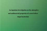 	An ingenious investigation on the adsorptive and antibacterial properties of a novel silver-doped hydrochar