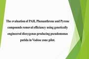 The evaluation of PAH, Phenanthrene and Pyrene compounds removal efficiancy using genetically engineered dioxygenas producing pseudomonas putida in Vadose zone pilot.