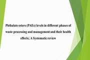 Phthalate esters (PAEs) levels in different phases of waste processing and management and their health effects, A Systematic review 