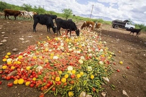 Valorization of Food Waste as Animal Feed: A Step towards Sustainable Food Waste Management and Circular Bioeconomy
